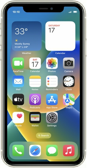 Apple iPhone X
